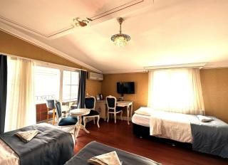 Taxim Alyon Hotel Istanbul City Center - Istanbul - 6