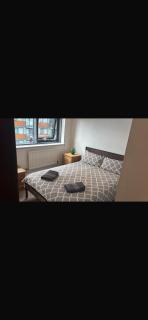 Dockland apartment on the Peninsular - London - 5