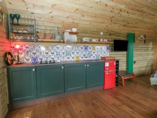 Hercules Shepherd's Hut - Bristol - 4