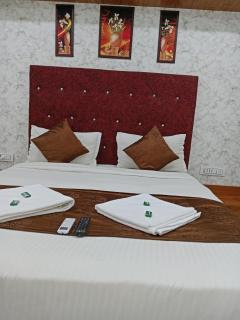 Hotel Metro AC Room - 2