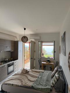 Apartment On Hill 1 - Parghelia - 9