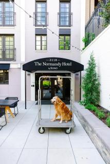 The Normandy Hotel - Washington, D.C. - 9