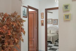 Apartamento Elvira - Conil de la Frontera - 3