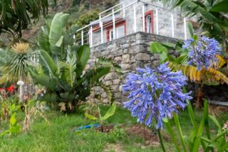 Fajã Stone House by LovelyStay - 6