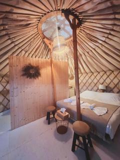 Glamping Iurte Mongole Spiritul Zimbrului - Vama Buzăului - 3