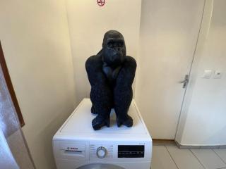 Grand T2 50m2 - 10min Paris Orly - Jacuzzi - Fan - Alfortville - 6