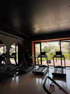 Apartment feels like home - 2