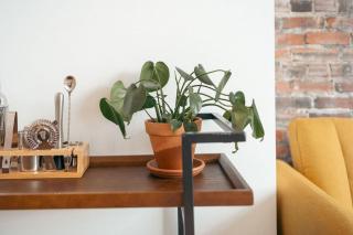 Modern Downtown Luxury Condo Enger Lofts 225 - Duluth - 7