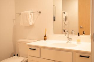 Modern Downtown Luxury Condo Enger Lofts 225 - Duluth - 5