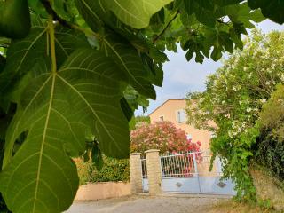 La Villa Saint Roch - Malaucène - 7