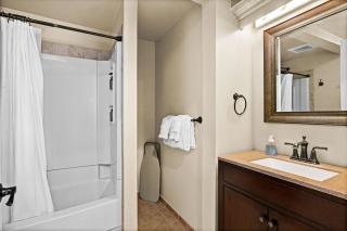 Coachmans Luxury Suite w Jacuzzi Fireplace - Duluth - 2