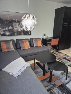 D&D Studio Apartment - Velika Gorica - 2