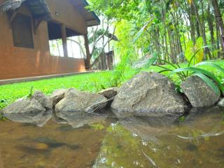 Ceyted Cottage, Polonnaruwa - Polonnaruwa - 9