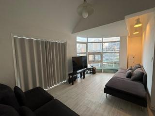 KSPO, Asan Hosp, Olympic park, Super duplex for 10 - Seul - 7