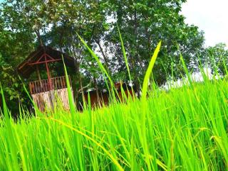 Ceyted Cottage, Polonnaruwa - Polonnaruwa - 4
