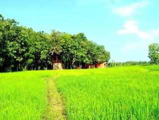 Ceyted Cottage, Polonnaruwa - Polonnaruwa - 2