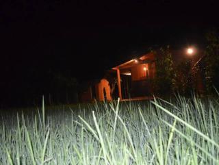 Ceyted Cottage, Polonnaruwa - Polonnaruwa - 3