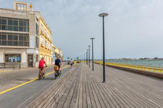 Vinos & Vinilos by Ĥ - 1