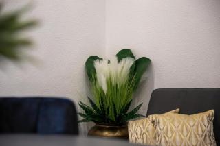 Cataleya Apartments Makarska - 1
