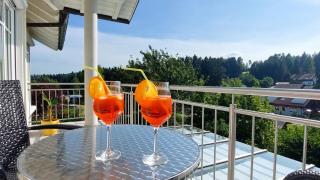 Lichtdurchflutete Ferienwohnung im Herzen des Bayerischen Waldes, Nationalparknähe - Rinchnach - 5