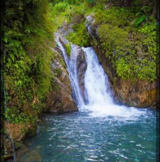 Rose in Rock Hotel And Guest House Sabri Waterfall - - 2