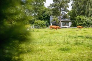 Gästehaus Ziegler - Neuenkirchen - 7