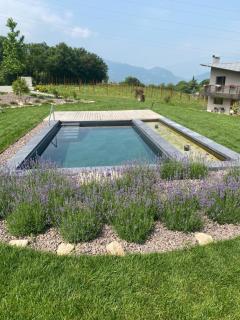 Agritur Verderame - Trento - 9