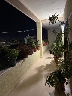 Villa's Daci - Tirana - 5
