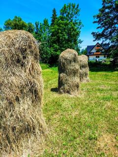 Tatra Apartament - 8