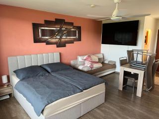schönes Apartment mit Festungsblick - FREE Parking - - Würzburg - 9