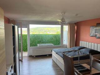 schönes Apartment mit Festungsblick - FREE Parking - - Würzburg - 7