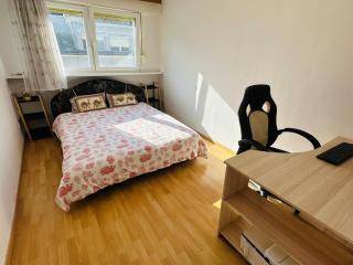 2 Big Rooms at Top of the House - Dudelange - 3