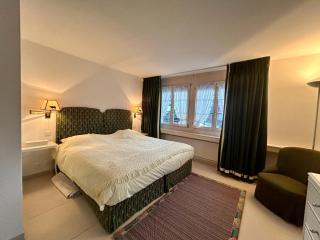 Gstaad Center Top Luxury Apartment 1 - 4