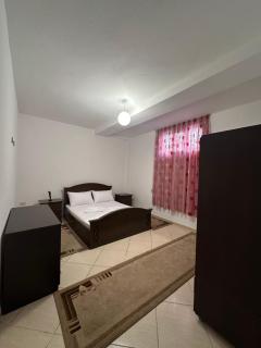 Holidays Apartament Pogradec - Tushemisht - 2
