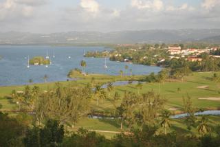 CoCoKreyol - " GRENADINE " - Les Trois-Îlets - 3