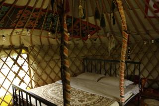 Nomad Yurt, 60 year old - Ryskulovo - 7