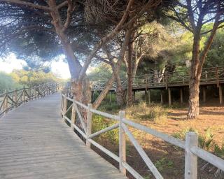 Premium location - 500 m to beach - 2