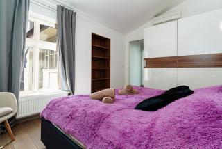 Golden Rabbit Suite - Praga - 9