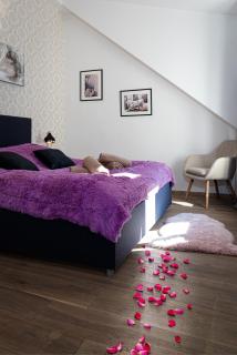 Golden Rabbit Suite - Praga - 7