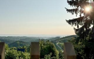 Das Gretlnest Appartements - Gamlitz - 0