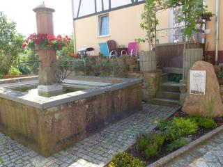 Ferienwohnung Pusteblume - Forbach - 3