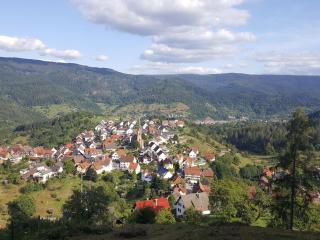 Ferienwohnung Pusteblume - Forbach - 4