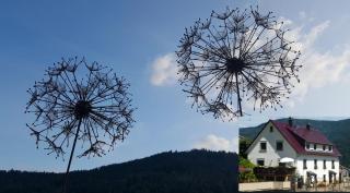 Ferienwohnung Pusteblume - Forbach - 0