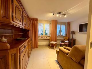 Gstaad Center Top Luxury Apartment 3 - Gstaad - 1