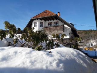 Haus Schupp - Wittenschwand - 8
