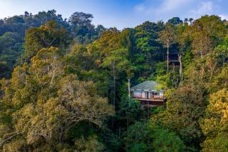 Chembarathi Wayanad Boutique Resort - Vaduvanchal - 3