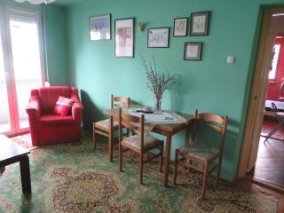 RentaSarajevo - Sarajevo - 8