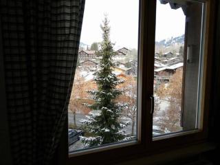 Central Location Cozy 3 BR Flat in Gstaad - Gstaad - 9