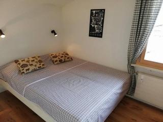 Central Location Cozy 3 BR Flat in Gstaad - Gstaad - 6