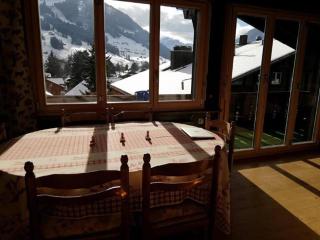 Central Location Cozy 3 BR Flat in Gstaad - Gstaad - 4